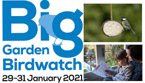 Registration for Big Garden Birdwatch 2021 is now open!